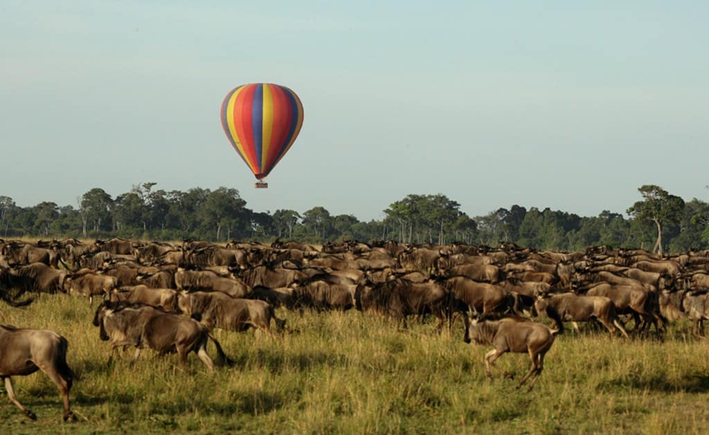 4 Days Maasai Mara Safari