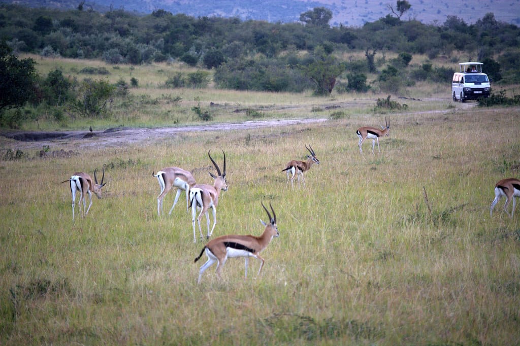 Rules and regulations in the Masai Mara