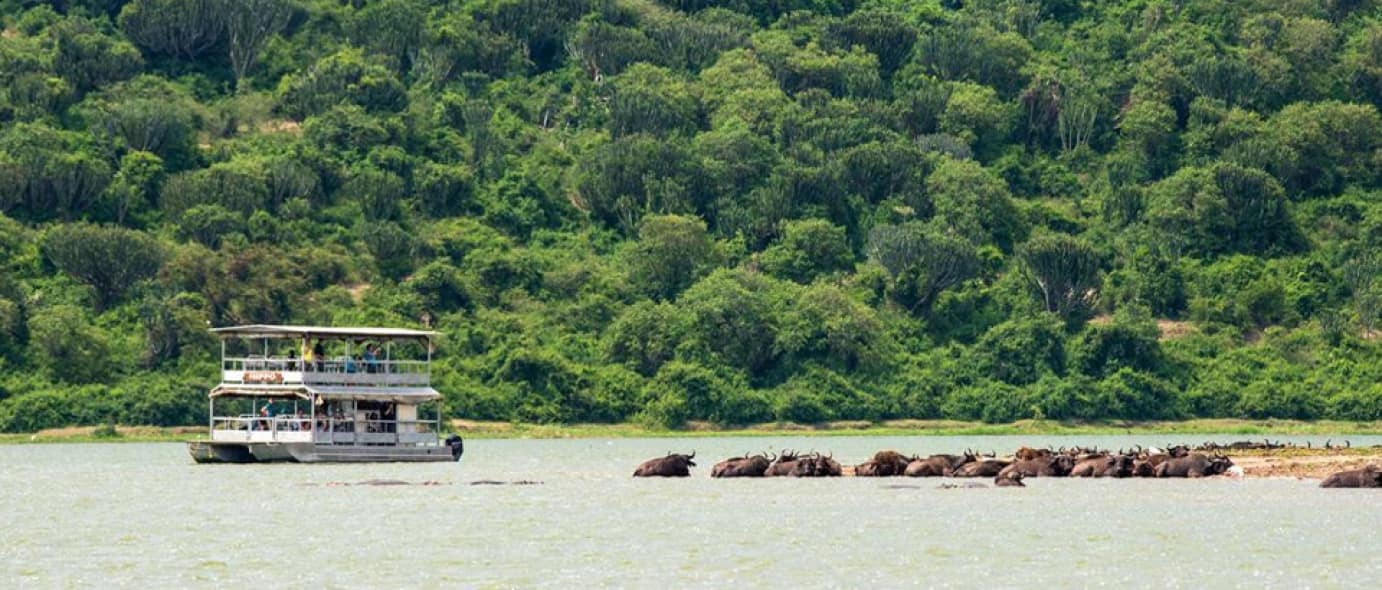 Queen Elizabeth national park