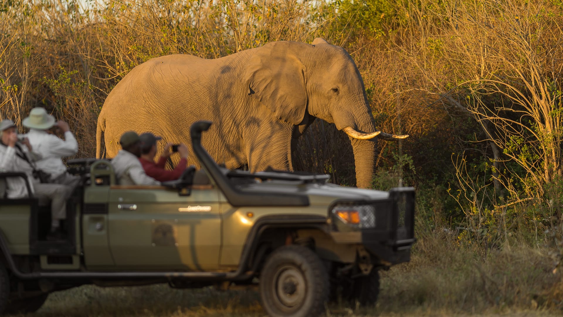 4 Days Tanzania Safari 