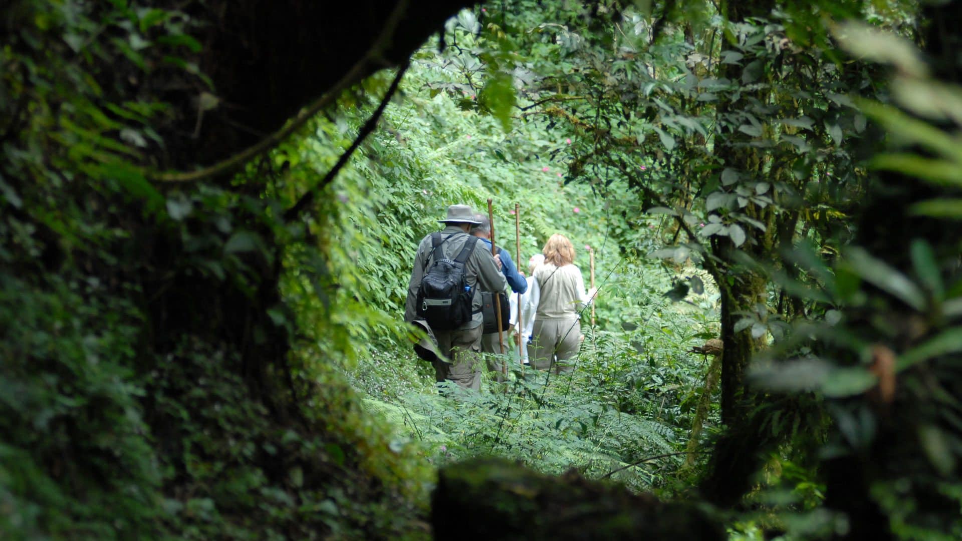 Hike to Dian Fossey Tomb