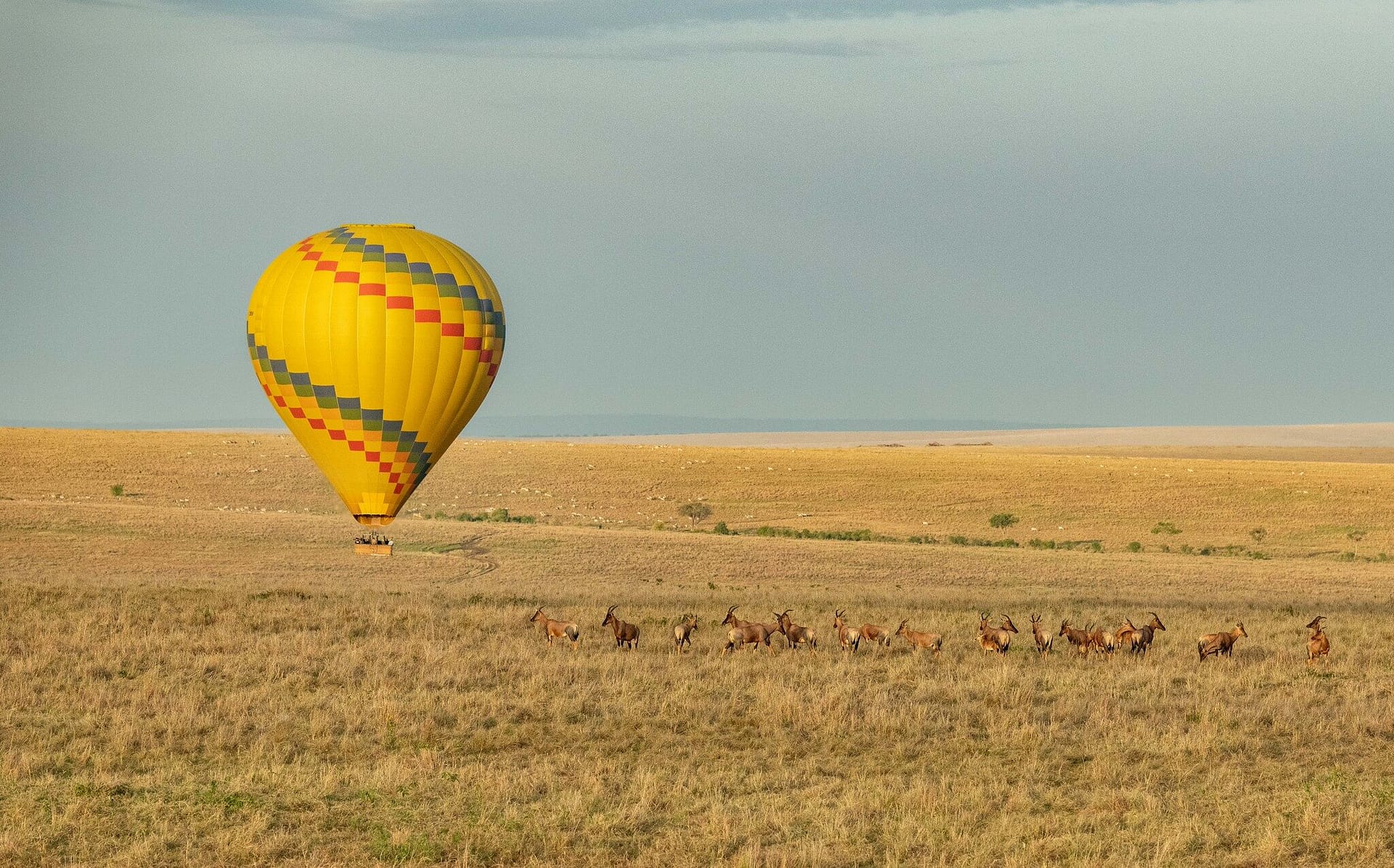 Weather in Maasai Mara National Park