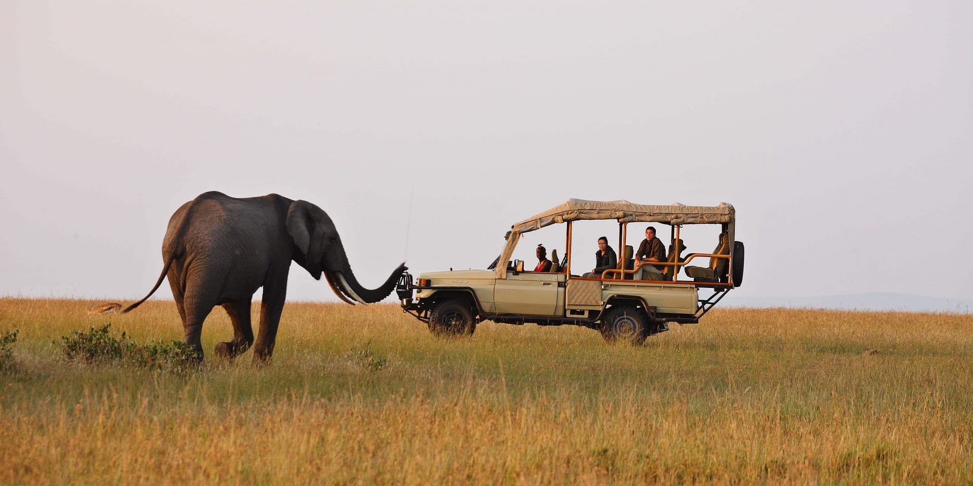 Game Drives in Tsavo National Park
