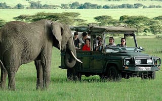 East Africa Safaris