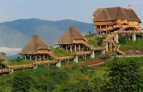Accommodation In Bwindi Impenetrable National Park