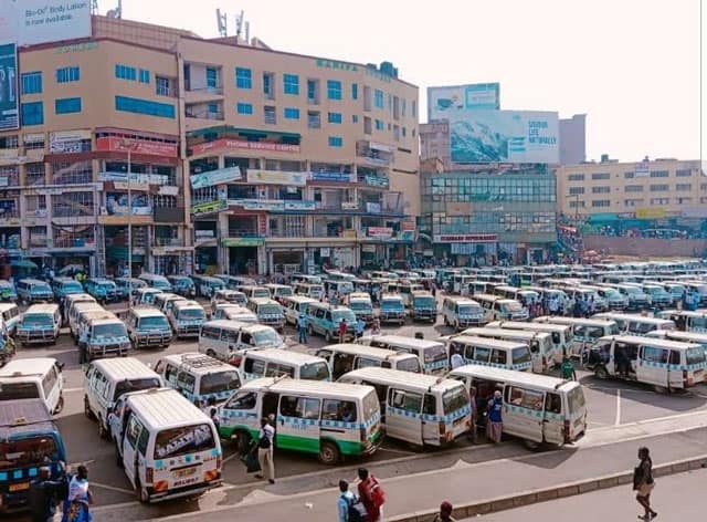 New look for the New Taxi park
