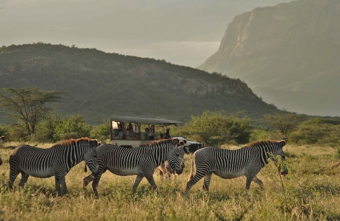 Game drive in Samburu National Reserve