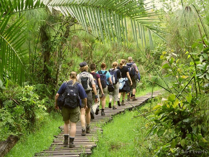 5 days Kibale and Bwindi Safari