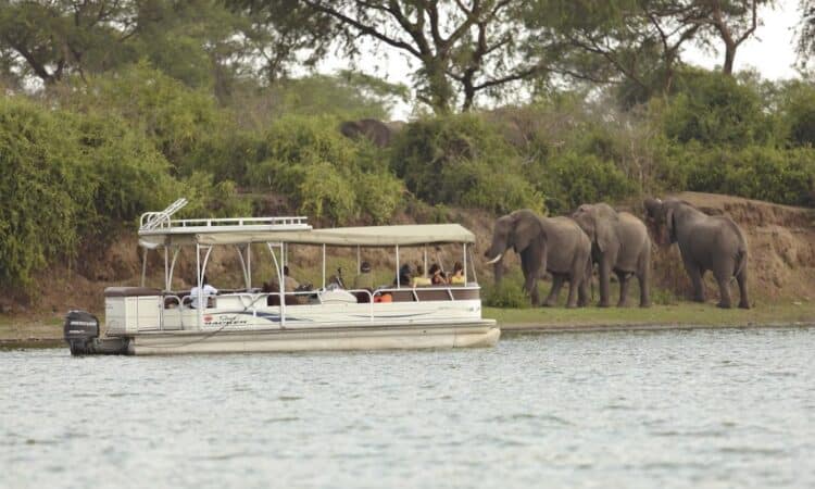 Boat cruise along Kazinga Channel