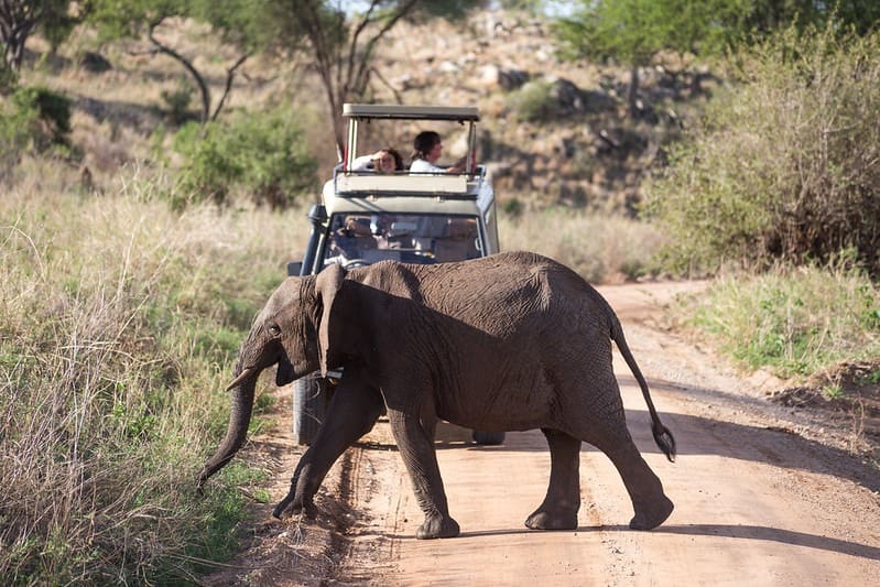 4 Days Lake Manyara, Tarangire and Ngorongoro Crater safari