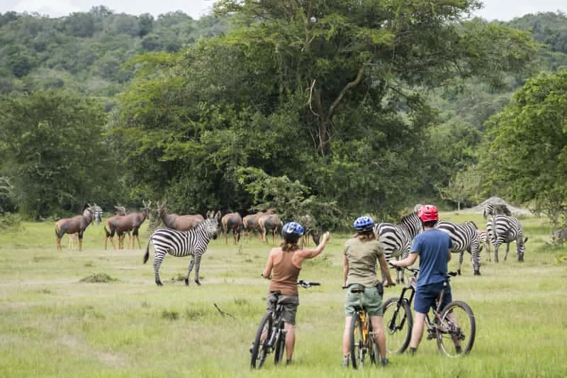 Cycling Tour in Lake Mburo National Park