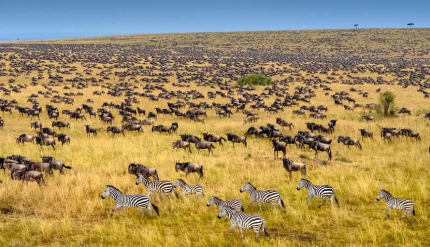 Maasai Mara National Park