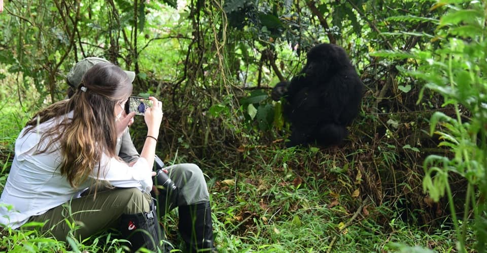 Bwindi-Gorilla-Tracking