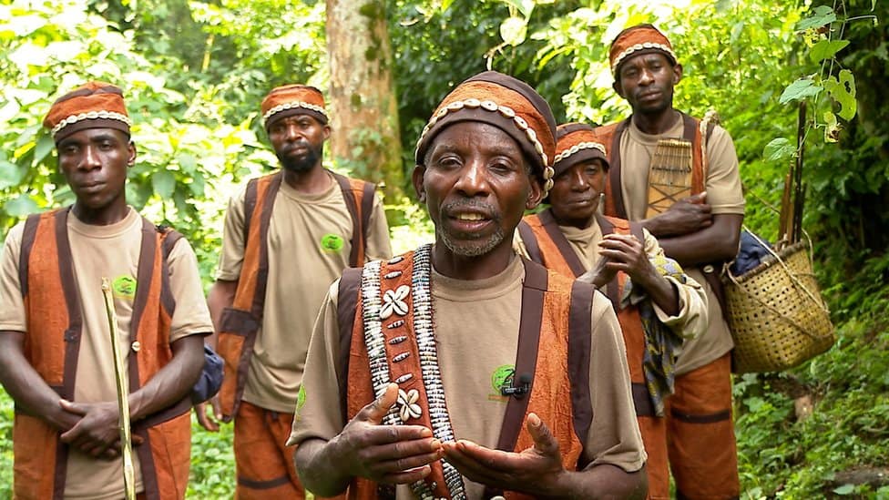 Bwindi Impenetrable National Park Uganda