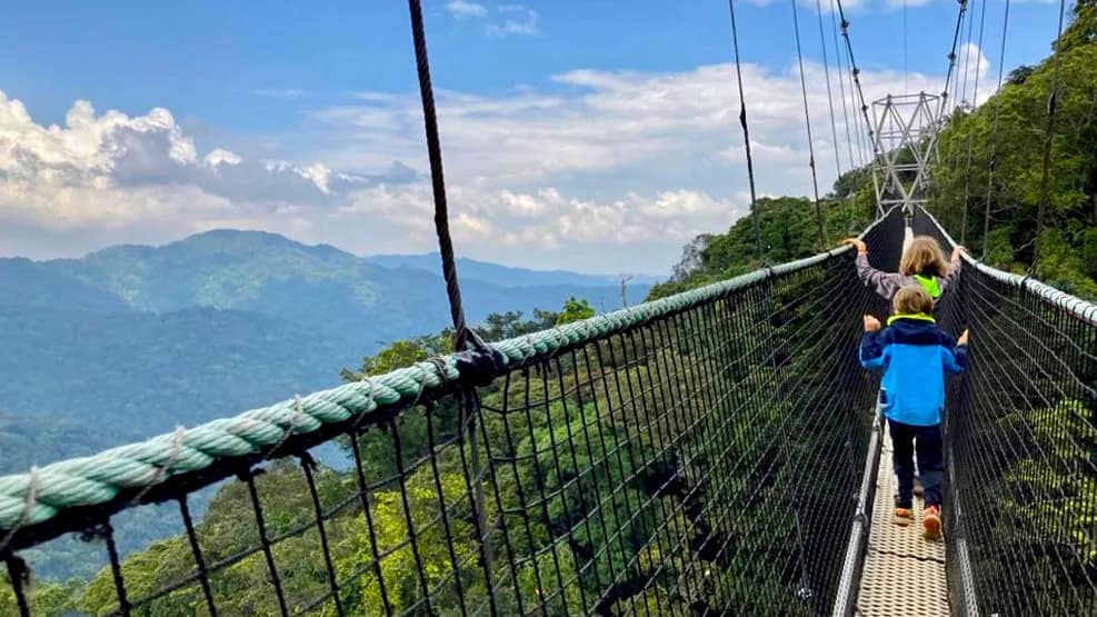 Nyungwe National Park for a canopy walk
