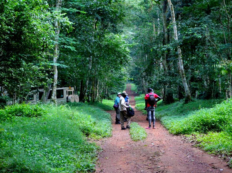 Budongo Forest Reserve